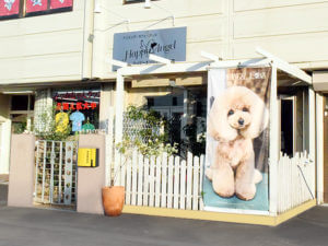 上柴店