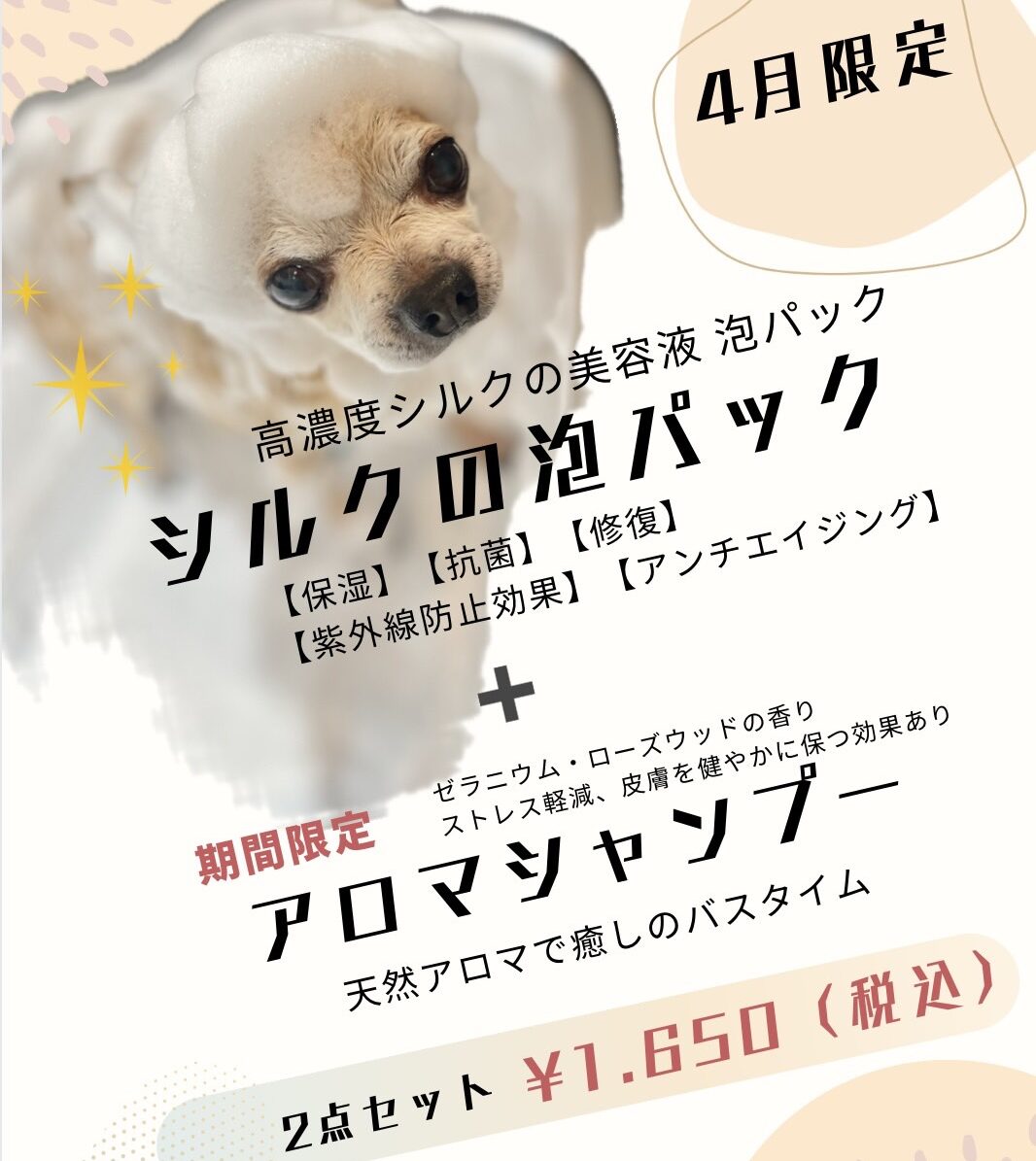 ~4月限定オプション~ - トリミングやドックサロンのHAPPYANGEL(ハッピーエンジェル)